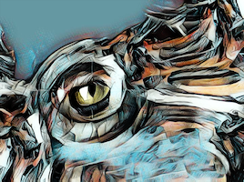 Mathew After the Cat 3
