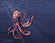 Octo
